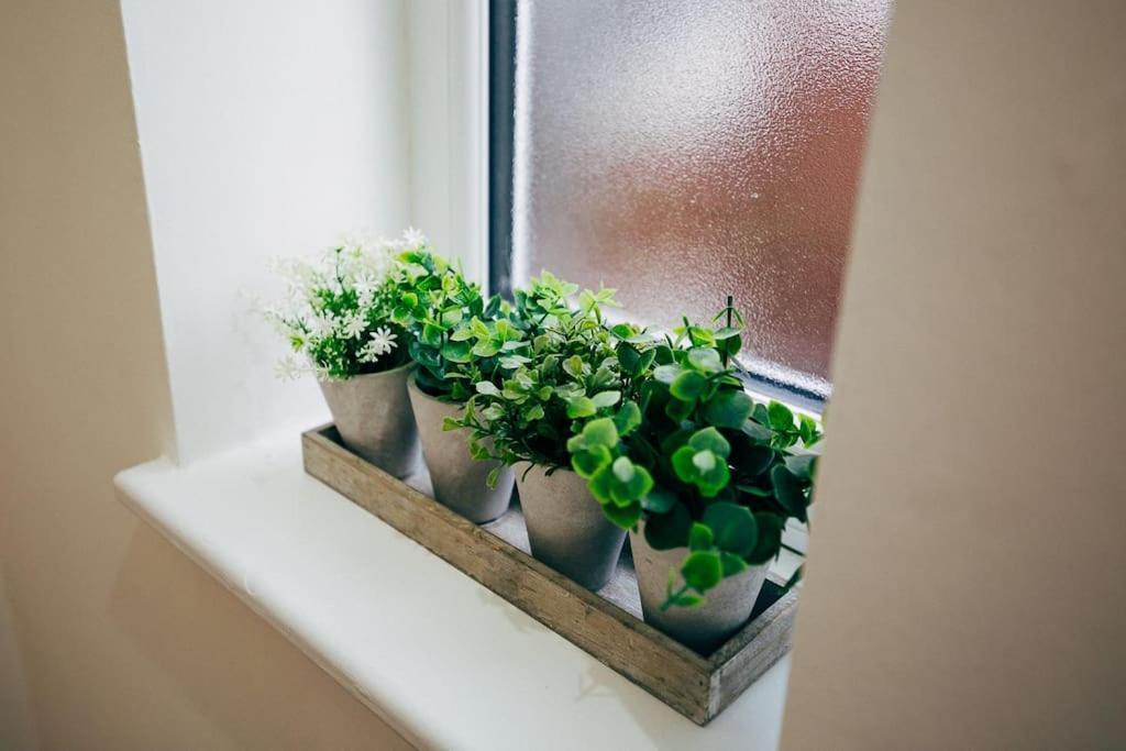 Park & Relax In 1Bd Central Liverpool Home Ngoại thất bức ảnh